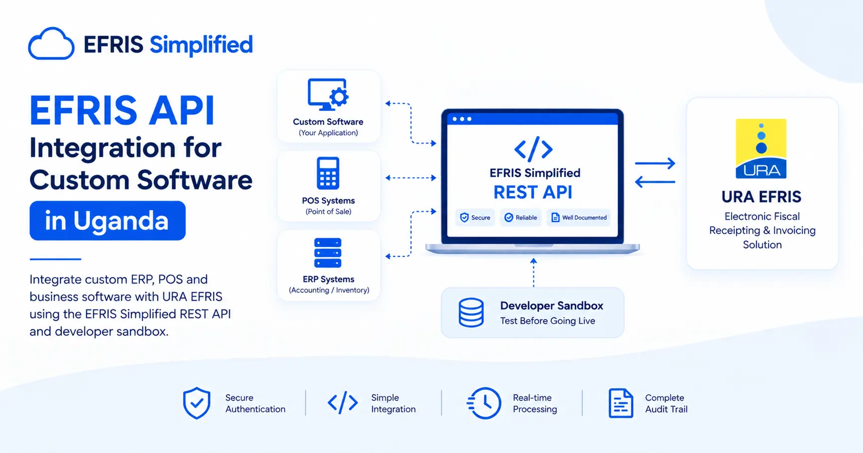 EFRIS API Integration for Custom Software in Uganda